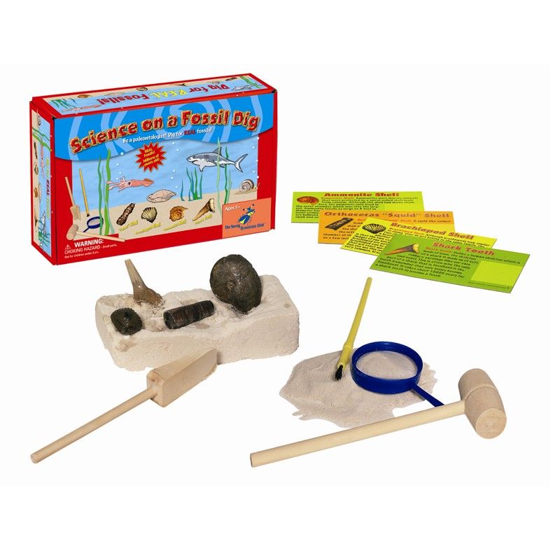 Nature Series - Science On A Fossil Dig - The Young Scientists Club