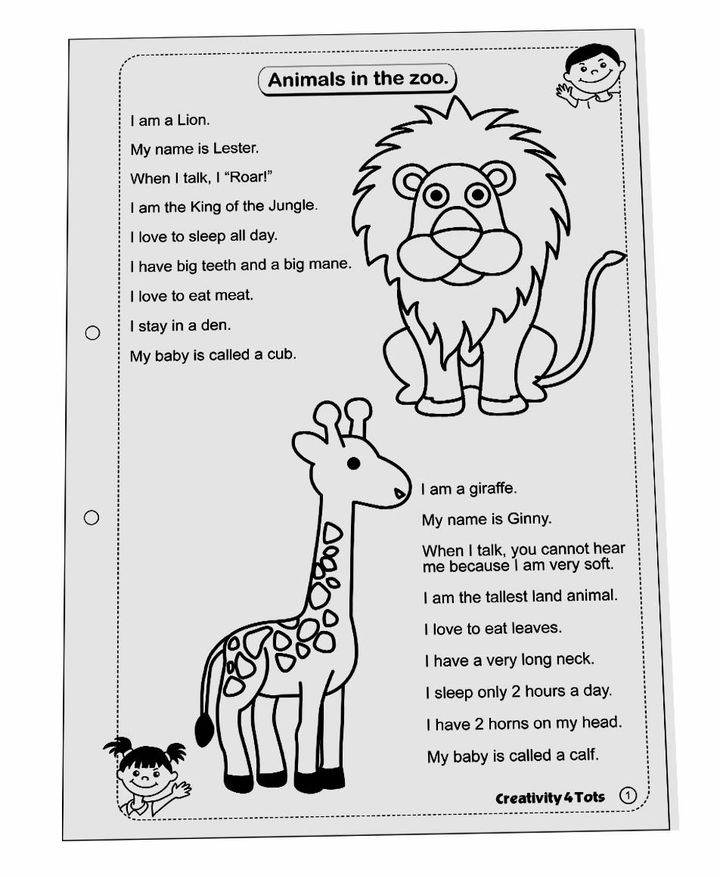 buy worksheet zoo animals online at rs199 hopscotch