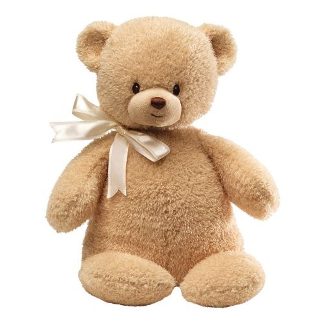 Shop Online Teddi Bear at ₹679