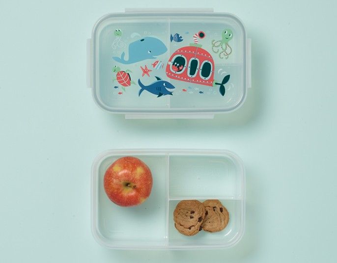 Lunch box ocean Lunch box ocean