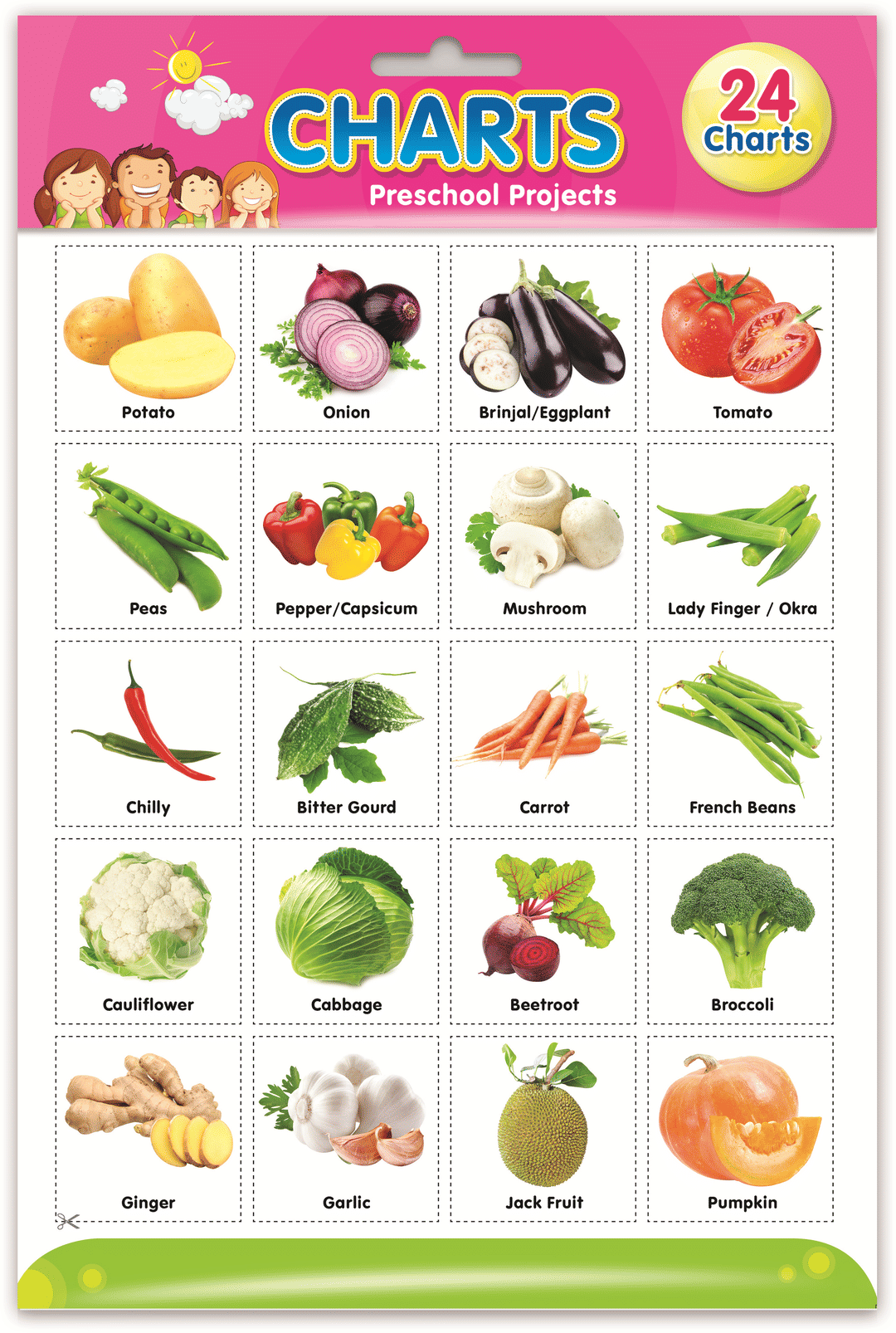 Shop Online Chart And Poster at ₹200