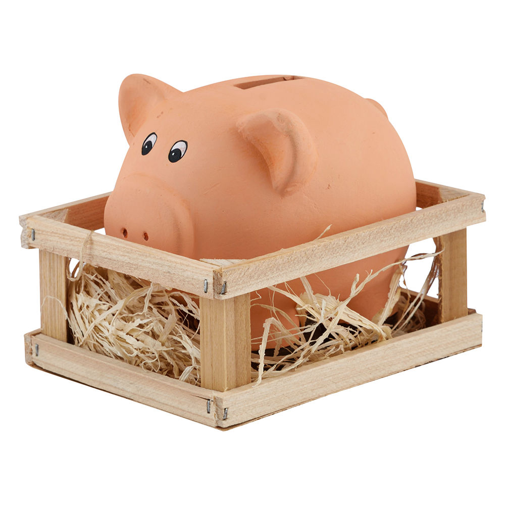 ceramic pig piggy bank