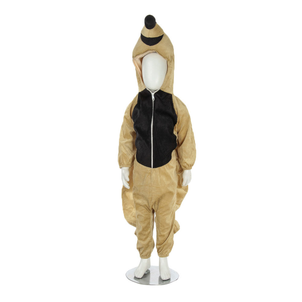 

sparrow chidiya bird kids fancy dress costume costume contents includes