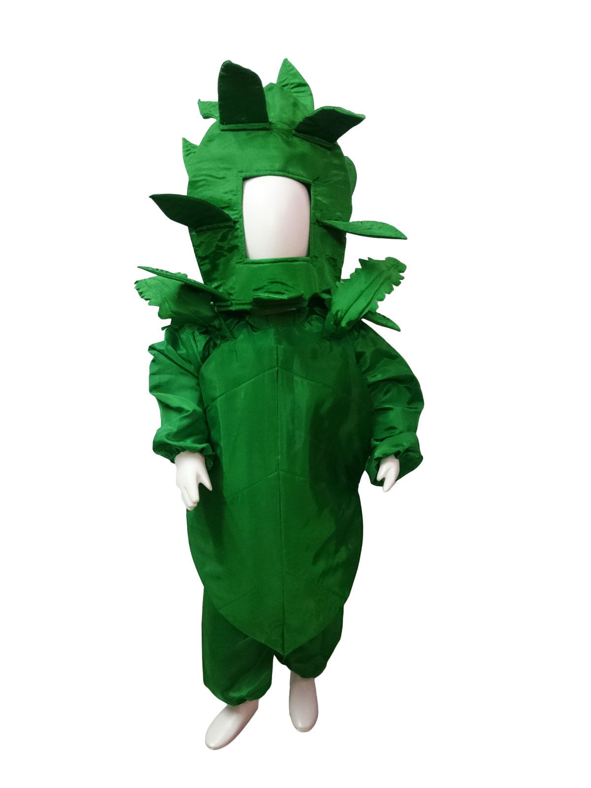 

spinach palak green leafy vegetable kids fancy dress costume costume