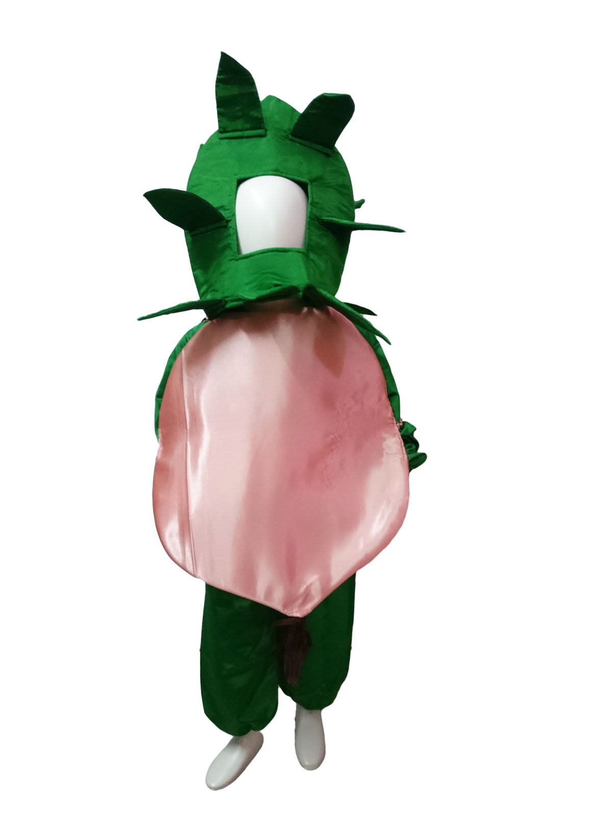 

onion pyaz vegetable kids fancy dress costume costume contents green