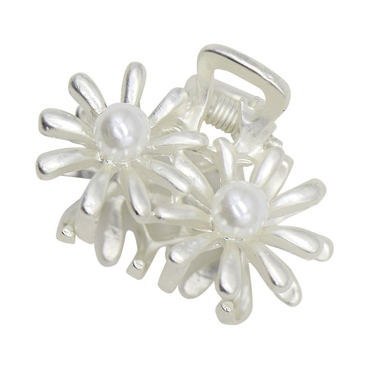 Buy Silver Floral Applique Hair Clips Online 125 Hopscotch