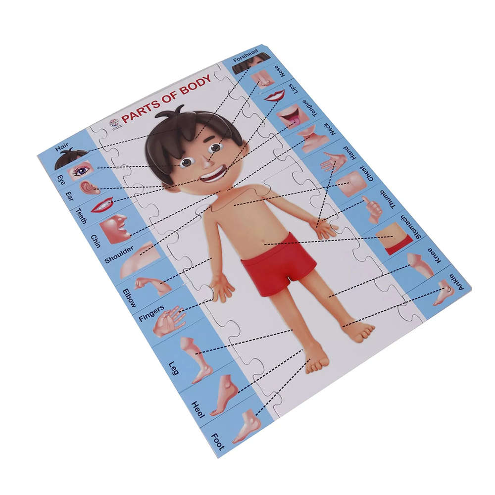Shop Online Parts Of Body Jigsaw Puzzle at ₹249