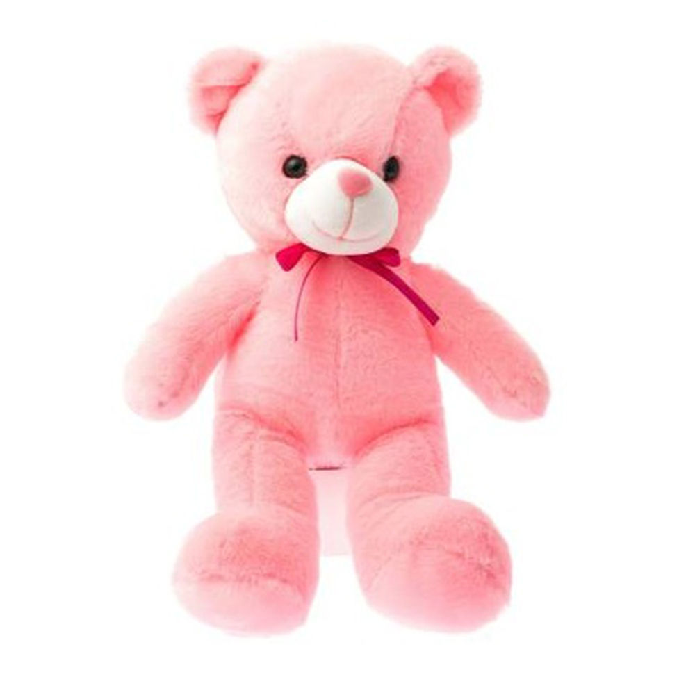 teddy bear soft toy