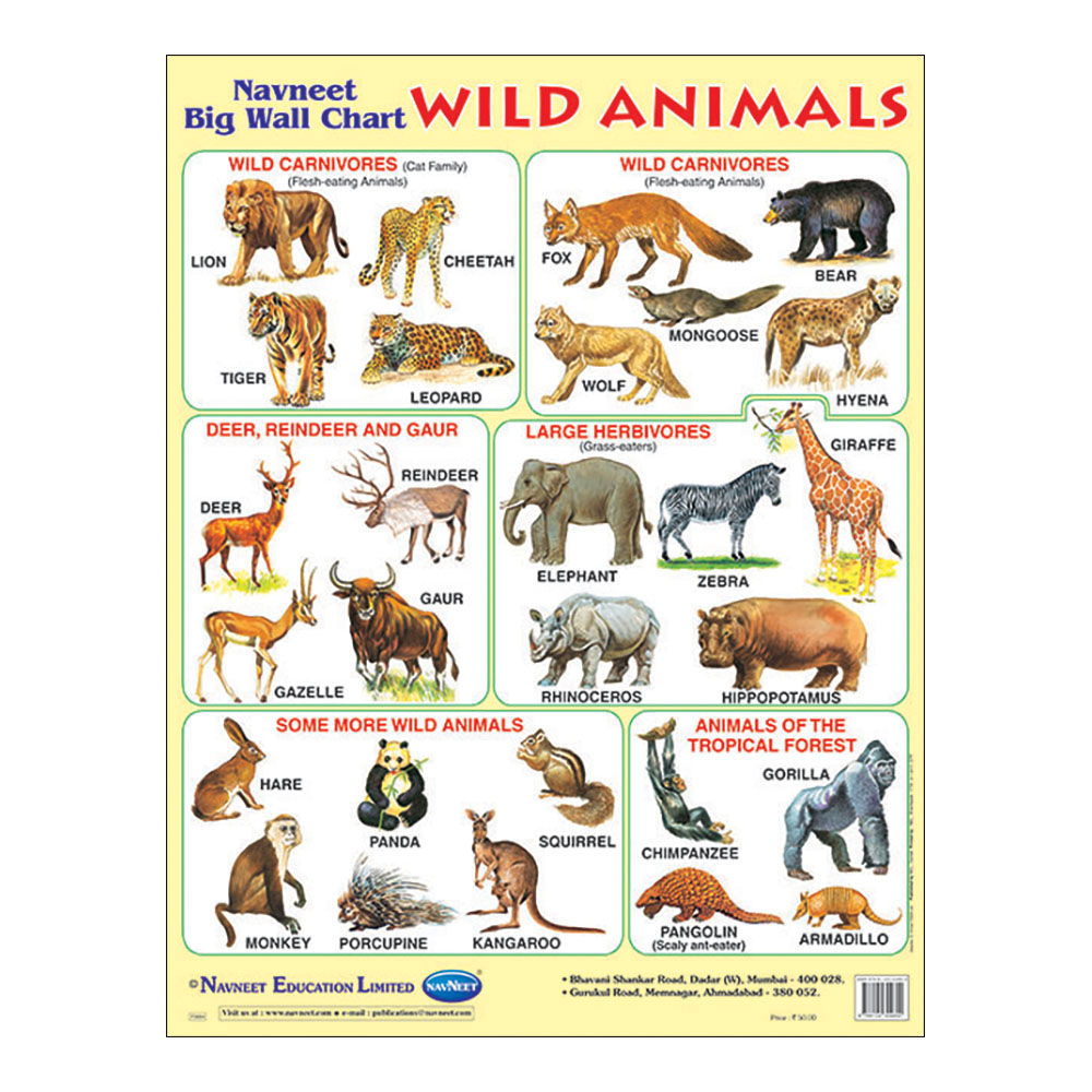 Buy Big Wall Chart Wild Animals Online 65 Hopscotch