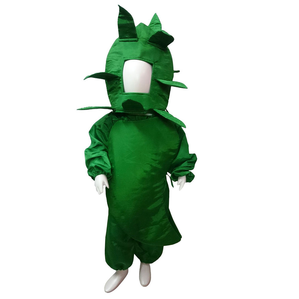 

green chilli hari mirch vegetable kids fancy dress costume